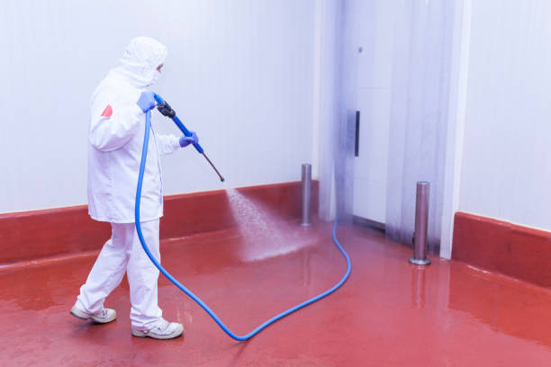  Mono Vista, CA Pressure Washing Pros