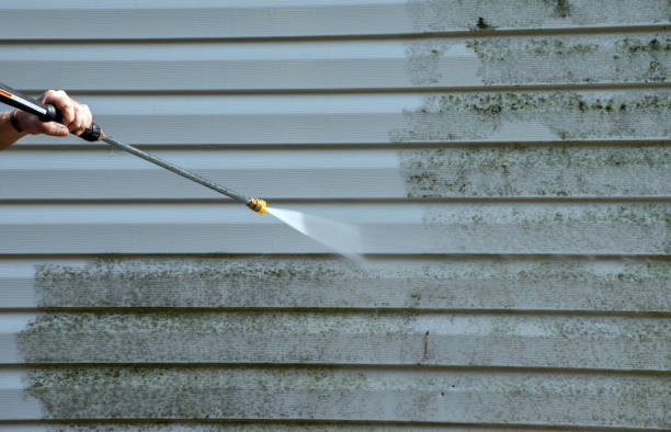 Best Dumpster Area Cleaning  in Mono Vista, CA